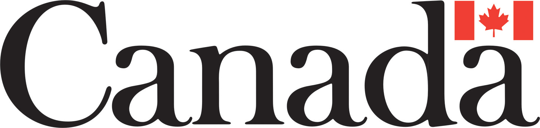 government logo
